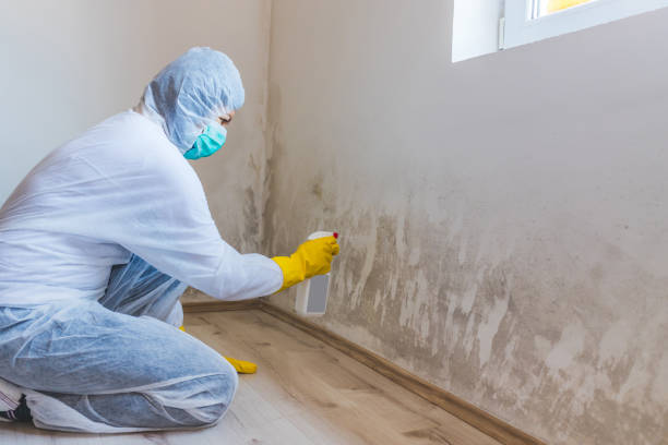 Mold Remediation specialist working in Sykesville